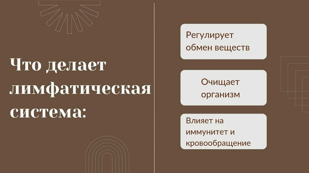лимфатическая система регулирует обмен веществ, очищает организм и влияет на иммунитет и кровообрещение