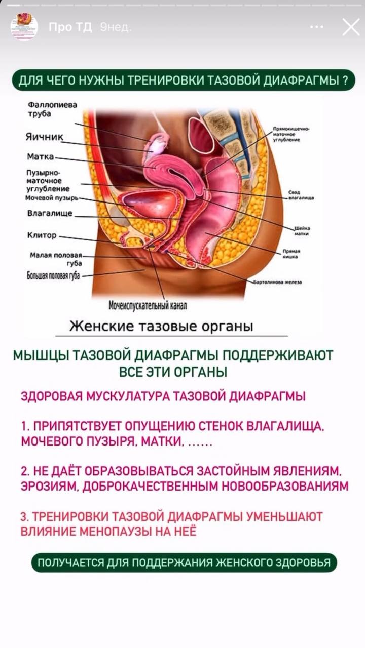 Как и зачем тебе укреплять мышцы тазового дна? ← FREEDOM / Фридом — Россия